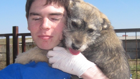 A YES Abroad student snuggles with a stray puppy in Bosnia