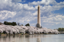 Washington DC