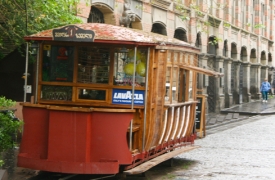 Discovering Georgia 