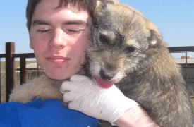 A YES Abroad student snuggles with a stray puppy in Bosnia