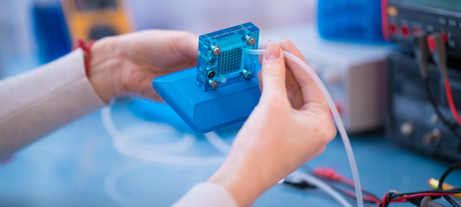 Robert Rose Education Award in Hydrogen and Fuel Cell Technology