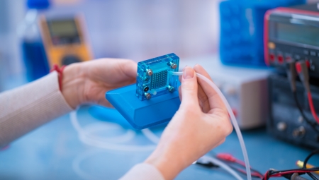 Robert Rose Education Award in Hydrogen and Fuel Cell Technology