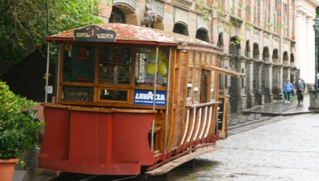 Discovering Georgia 